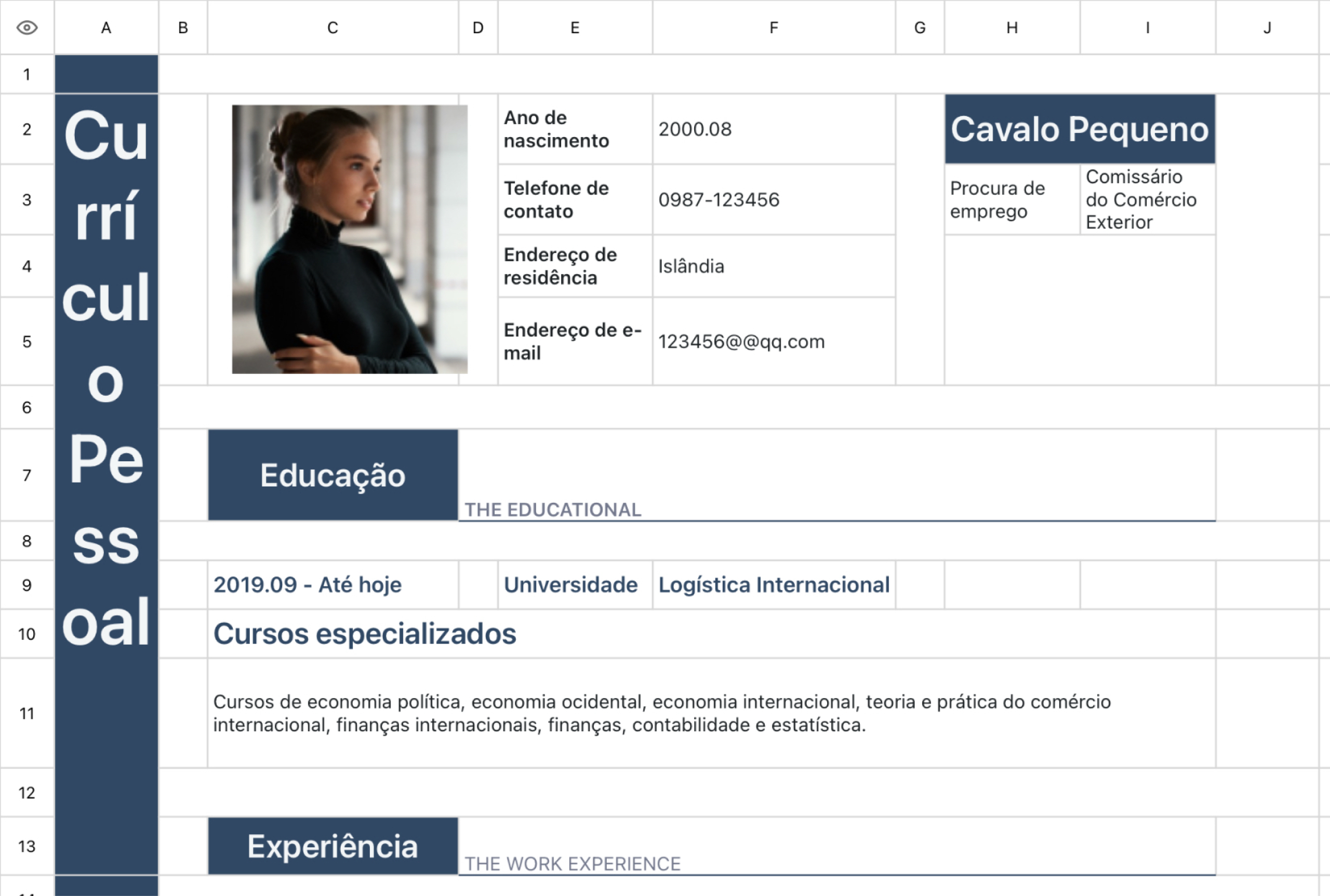 CV do Comissário de Logística